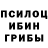 Псилоцибиновые грибы прущие грибы xnemez