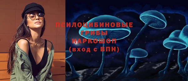 прущие грибы Алзамай