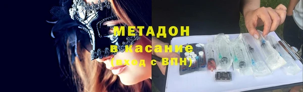 прущие грибы Алзамай