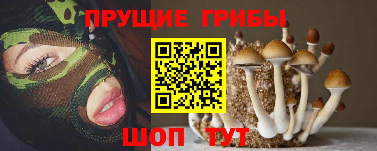 Псилоцибиновые грибы мухоморы Арсеньев